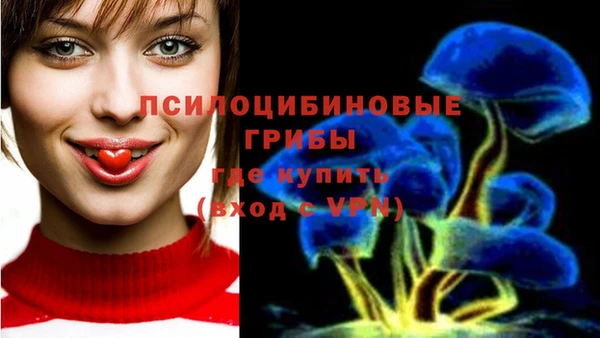 мдма Каменногорск