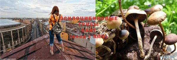 мдма Каменногорск