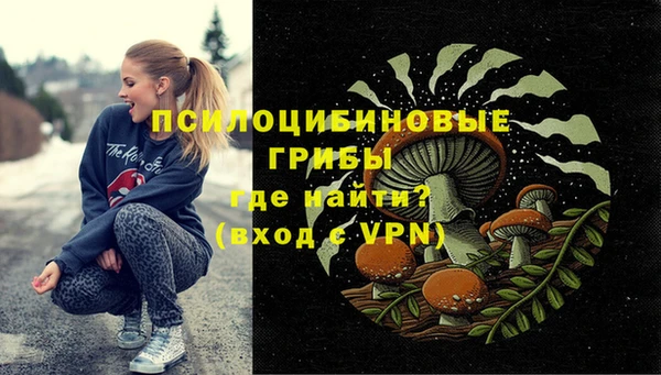 мдма Каменногорск